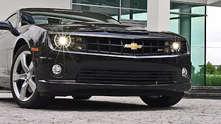 black Chevrolet Camaro, car, Chevrolet Camaro, Camaro, black cars HD wallpaper