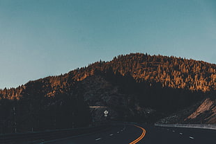 green terrain, Tahoe, California, Road