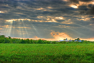 Landscape photography of green pastures under commulus stratus clouds during golden hour, wisconsin