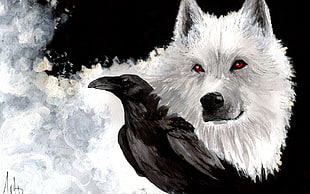 white and black short-fur cat, fantasy art, birds, animals, wolf HD wallpaper