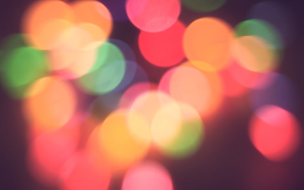 bokeh photography HD wallpaper