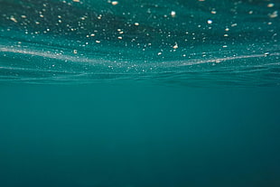 teal underwater photograph