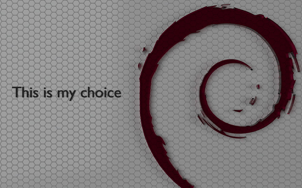 This is my choice text overlay, Linux, Debian HD wallpaper