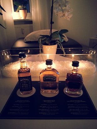 three whiskey bottles, Jack Daniel's, alcohol