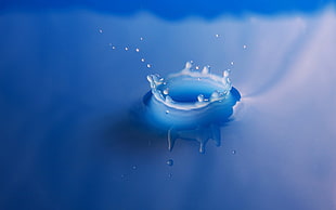 splash of water, water drops HD wallpaper