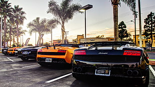 assorted-color Lamborghini sports coupe lot, car, Lamborghini, Lamborghini Gallardo LP560-4, Lamborghini Murcielago HD wallpaper