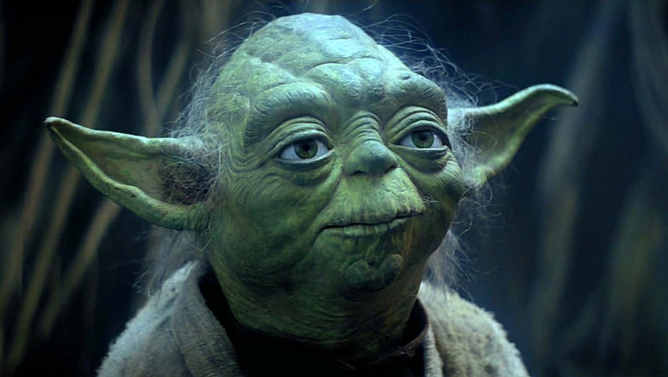 Star Wars Master Yoda, Star Wars, Yoda, Jedi HD wallpaper