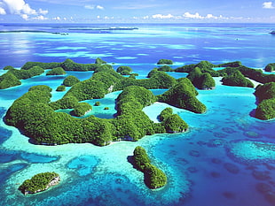 barrier reef during daytime, landscape