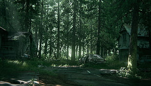 green leaf trees, The Last of Us, Part II, Ellie, Joel HD wallpaper