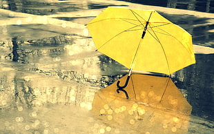 yellow and gray umbrella, umbrella, yellow, rain, reflection