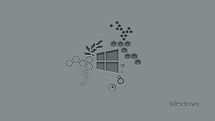 Windows logo, Microsoft Windows, Windows 10 Anniversary, hexagon HD wallpaper