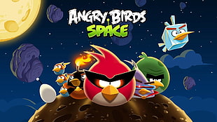 Angry Birds Space digital wallpaper, Angry Birds, Angry Birds Space HD wallpaper