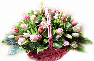 pink Tulips, Rose and Lily flowers in pink Basket HD wallpaper