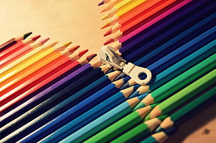 multicolored color pencils lot HD wallpaper
