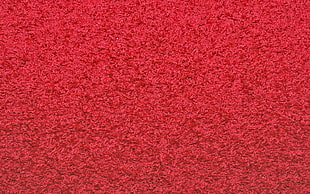 red fleece textile