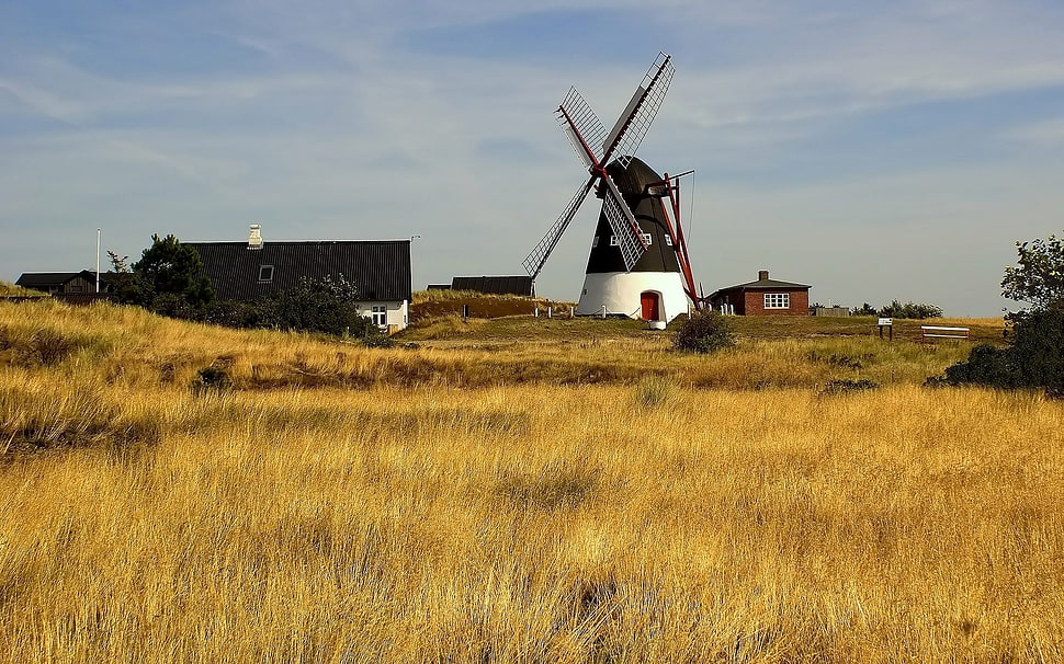 black and white windmill near house during daytime HD wallpaper