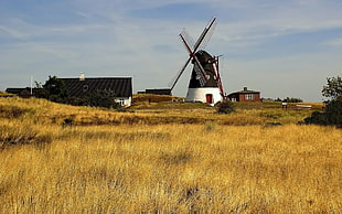 black and white windmill near house during daytime
