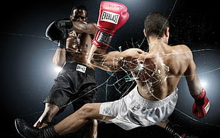 boxing player wallpaper HD wallpaper