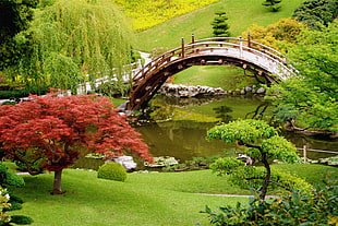 wooden bridge with flowers and rivers HD wallpaper
