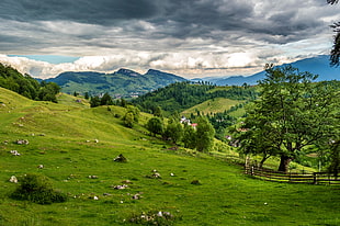 photo of green grass field near hills