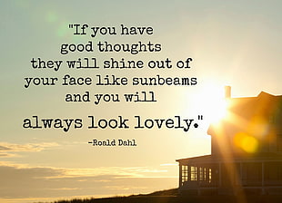 Roald Dhal quotes, nature, Sun, sunlight, quote