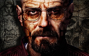 man portrait poster, Breaking Bad, Walter White HD wallpaper