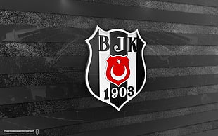 Besiktas logo, Besiktas J.K., Turkey, soccer pitches HD wallpaper