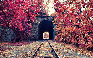 architectural photography of train rail