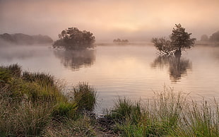 lake with fog HD wallpaper