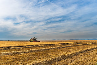 green harvester in the middle of crop field HD wallpaper