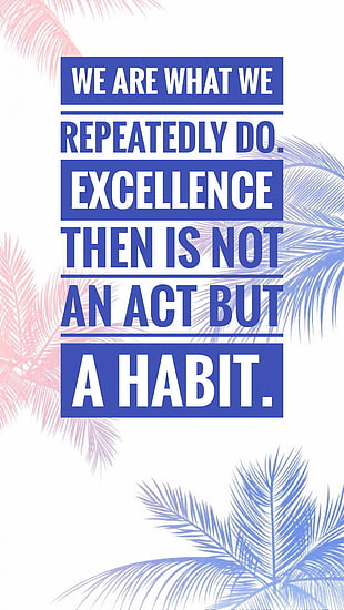 white and blue background with text overlay, Aristotle, quote, Excellence