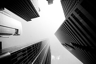 low angle grayscale photography of buildings