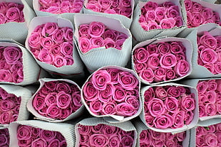 pink rose bouquet lot, flowers, rose, plants
