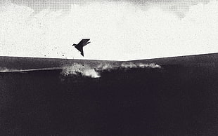 grayscale photo of bird character flying, birds, noisy, artwork