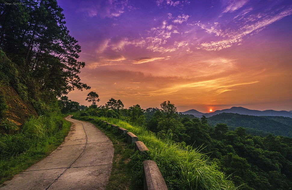 road with green grass during golden hour, road, sunset, sky, nature HD wallpaper