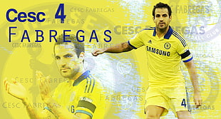 Cesc Fabregas, Chelsea FC, Cesc Fabregas, soccer