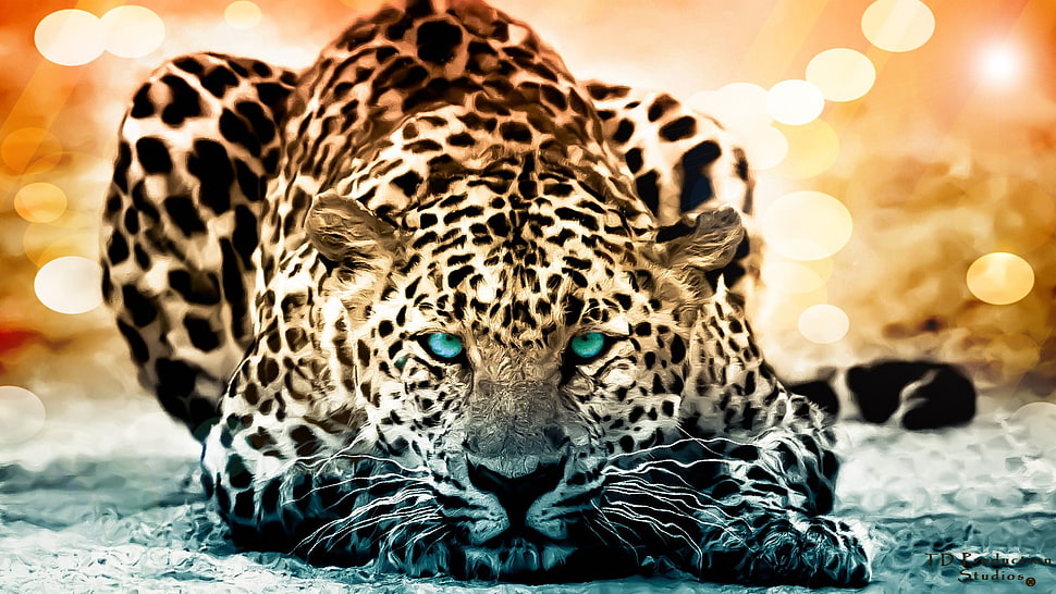 brown leopard, animals, big cats, artwork HD wallpaper