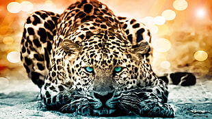 brown leopard, animals, big cats, artwork