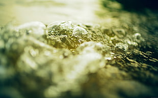 macro photography of water