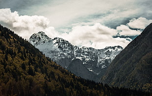 mountains covered with trees under cloudy sky during daytime