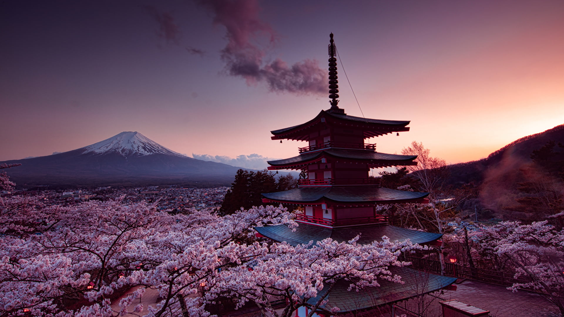 brown and white pagoda, Mount Fuji, Japan, cherry blossom, pink