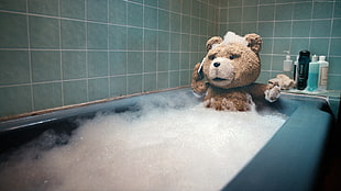 teddy bear inside bathtub