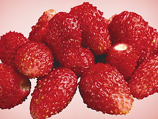 red berries HD wallpaper