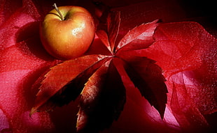 red apple beside red leaf on top of red textile