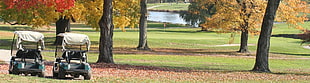 two white-and-green golf cars, multiple display, golf course