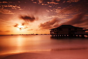 brown wooden house, beach, Barbados, boat, calm