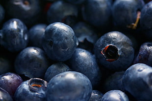 closeup photography of blueberries