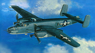 gray and black Raggedy Ann aircraft painting, World War II, military aircraft, aircraft, Mitchell