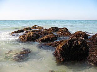 stone and sea photo
