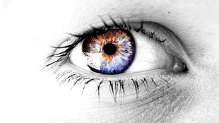 human eye, selective coloring, eyes HD wallpaper
